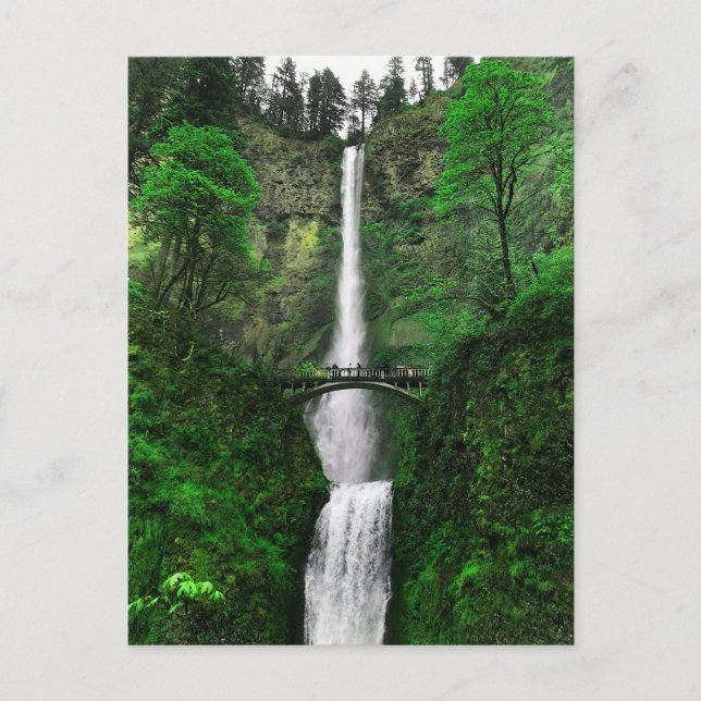 Multnomah Falls #2-2 Postcard  (Front)