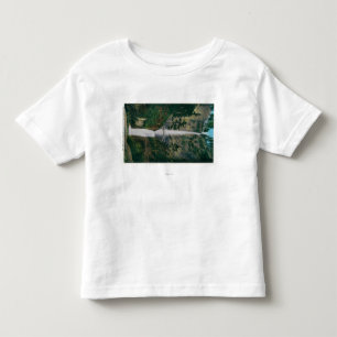 Multnomah Falls and Benson Foot Bridge 2 Toddler T-shirt
