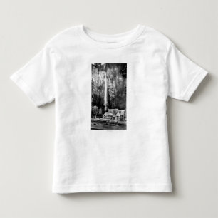 Multnomah Falls and Lodge Photograph Toddler T-shirt