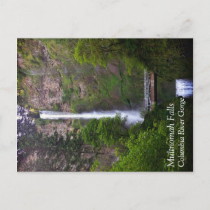 Multnomah Falls Bridge Repair, Oregon Postcard