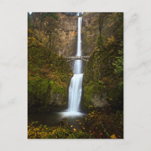 Multnomah Falls ・ Carte postale de l'Oregon