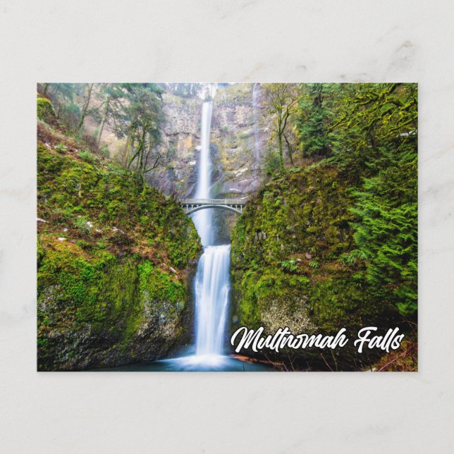 Multnomah Falls, Columbia River Gorge, Oregon Postcard (Front)
