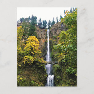Multnomah Falls, Columbia River Gorge, Oregon Postcard