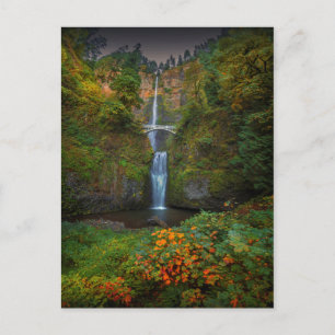 Multnomah Falls   Columbia River Gorge, Oregon Postcard