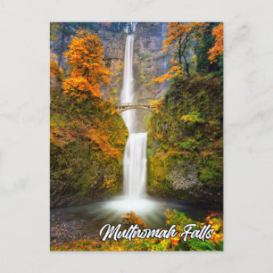 Multnomah Falls, Columbia River Gorge, Oregon Postcard