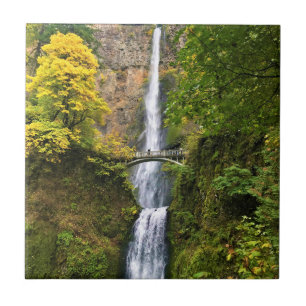 Multnomah Falls, Columbia River Gorge, Oregon Tile