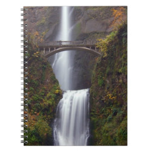 Multnomah Falls in late Autumn Notebook