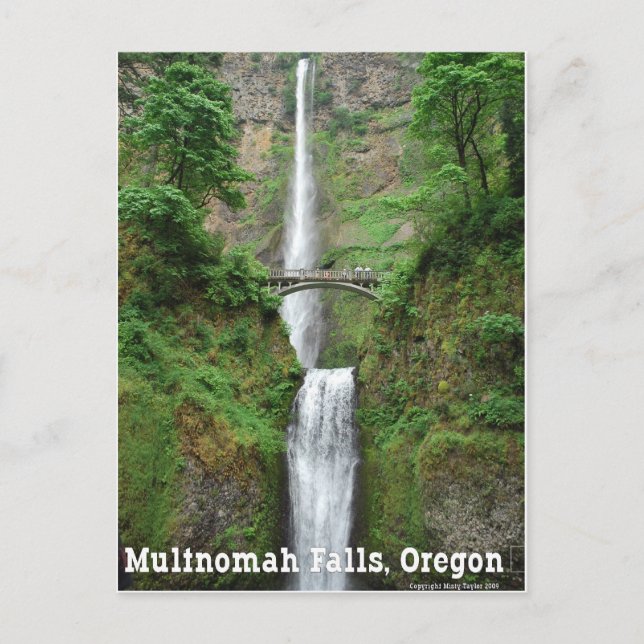 Multnomah Falls, OR Postcard (Front)