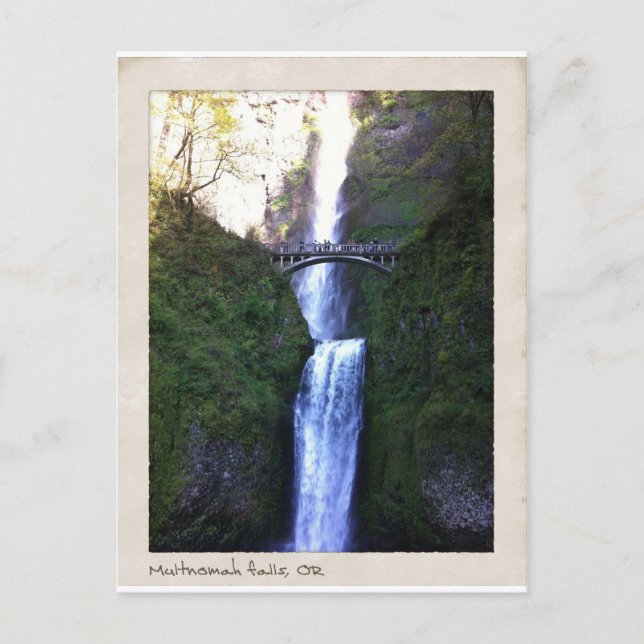 Multnomah Falls, Oregon Postcard (Front)