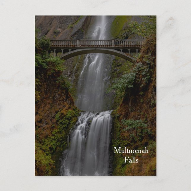 Multnomah Falls Postcard (Front)