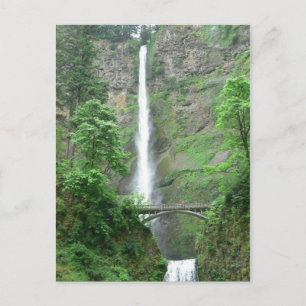 Multnomah Falls Postcard