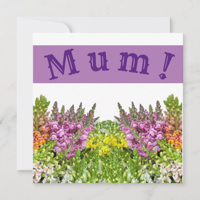MUM! Carte (Devant)