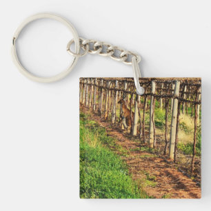 Mummy And Baby Australian Kangaroo, Keychain
