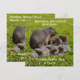 Mummy And Baby Capybaras, Birthday Invitation