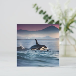 Mummy And Baby Orcas In The Ocean, Save The Date