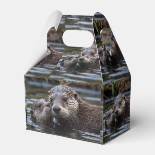 Mummy And Baby Otter Having A Cuddle In The River, Favor Box
