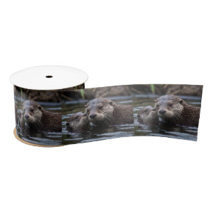 Mummy And Baby Otter Having A Cuddle In The River, Satin Ribbon
