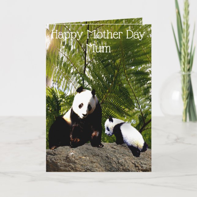 Mummy And Baby Panda, Mother Day Card (Front)