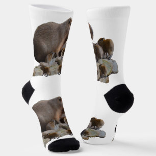 Mummy Capybara With Babies, Socks