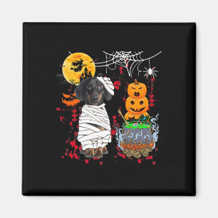 Mummy Dachshund Dog Halloween Dog Scary Pumpkins L Magnet
