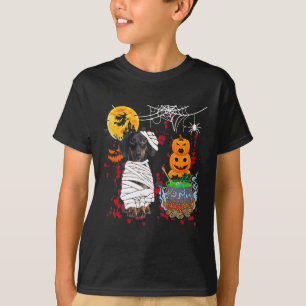 Mummy Dachshund Dog Halloween Dog Scary Pumpkins L T-Shirt