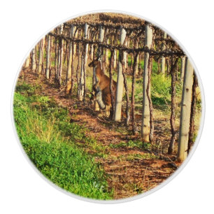 Mummy Kangaroo In The Grapevines, Ceramic Knob