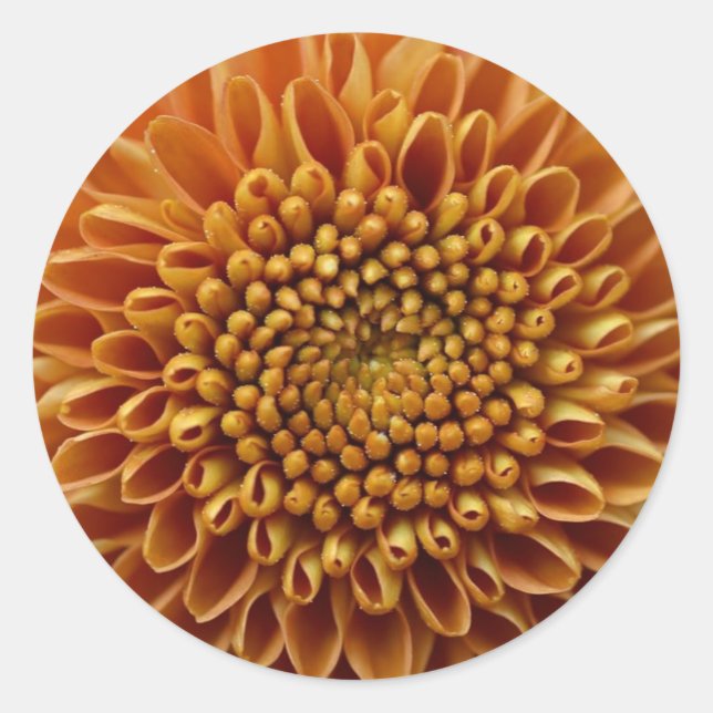 Mums the Word Classic Round Sticker (Front)