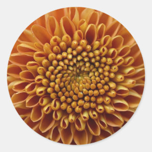 Mums the Word Classic Round Sticker
