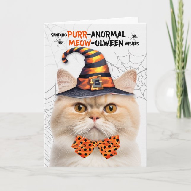 Munchkin Cat PURRanormal MEOWolween Holiday Card (Front)