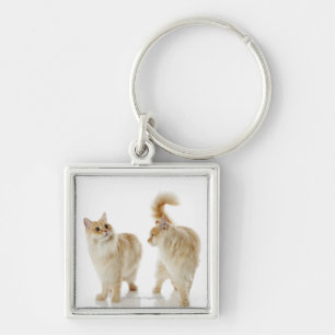 Munchkin cats keychain