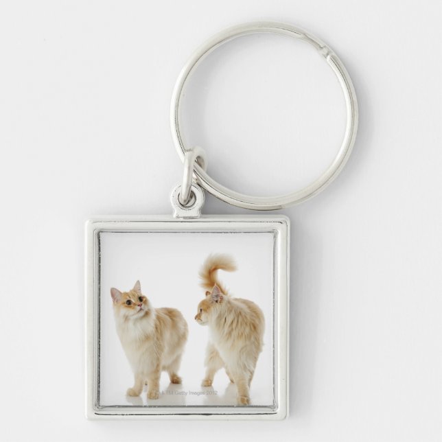 Munchkin cats keychain (Front)