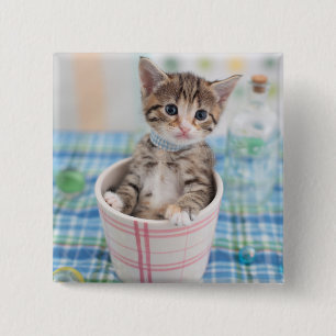 Munchkin Kitten With Pretty Ribbon 2 Inch Square Button