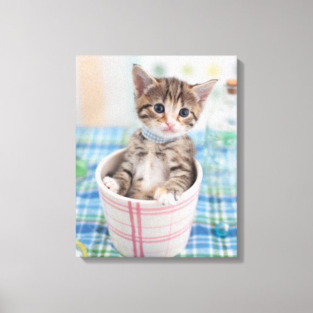 Munchkin Kitten With Pretty Ribbon Canvas Print (Front)