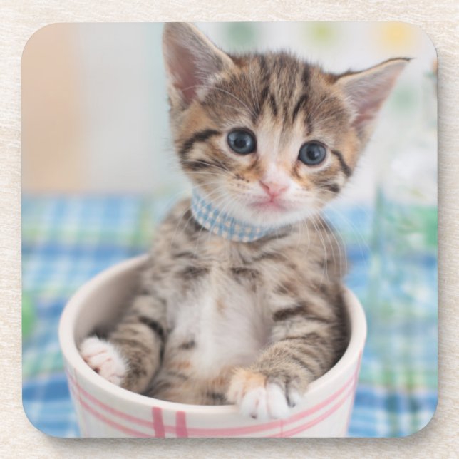 Munchkin Kitten With Pretty Ribbon Coaster (Front)