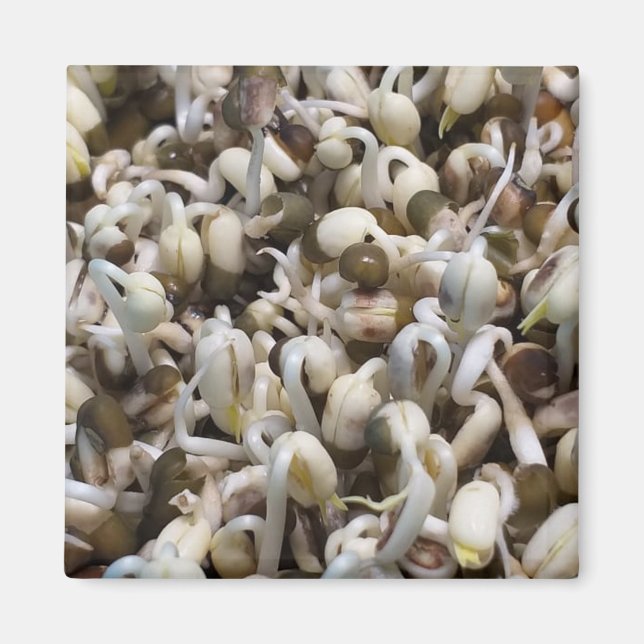 Mung The Beans Magnet (Front)