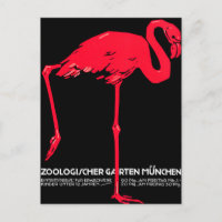Munich Zoo Garden Flamingo Travel Art