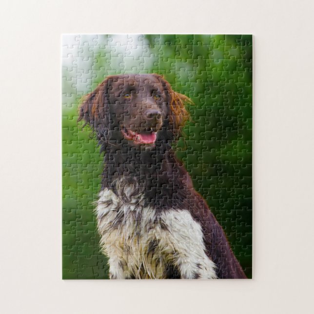 Munsterlander Dog. Jigsaw Puzzle (Vertical)