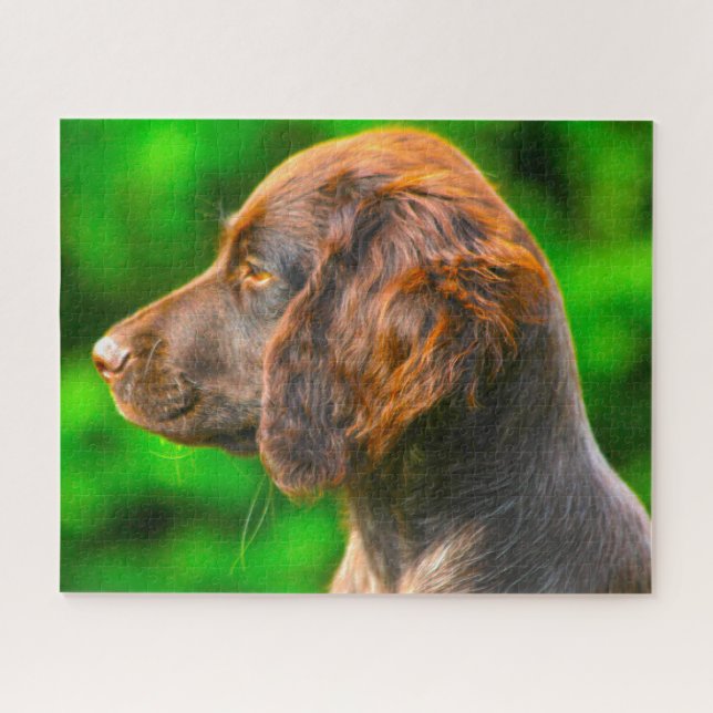 Munsterlander Dog. Jigsaw Puzzle (Horizontal)