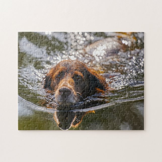Munsterlander Dog. Jigsaw Puzzle (Horizontal)