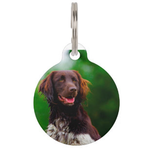 Munsterlander Dog. Pet Tag