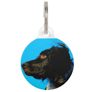 Munsterlander Dog. Pet Tag