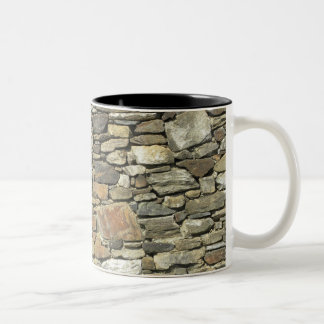 Mur en pierre naturel de tasse de roche de roches