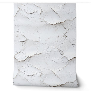 Mur peint blanc fissuré