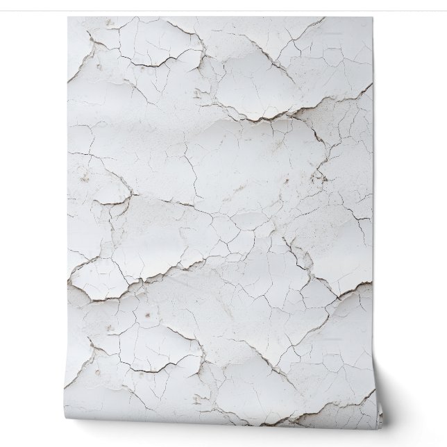 Mur peint blanc fissuré (Déroulement)