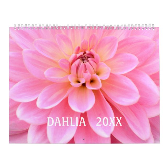Mural 12 mois beau calendrier photo Dahlia (Protection)