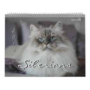 Mural 2010 Sibériens Chats & Chatons Calendrier 3
