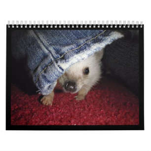 Mural 2013 calendrier 2