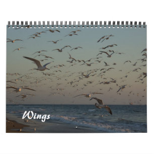 Mural 2013 calendrier - ailes