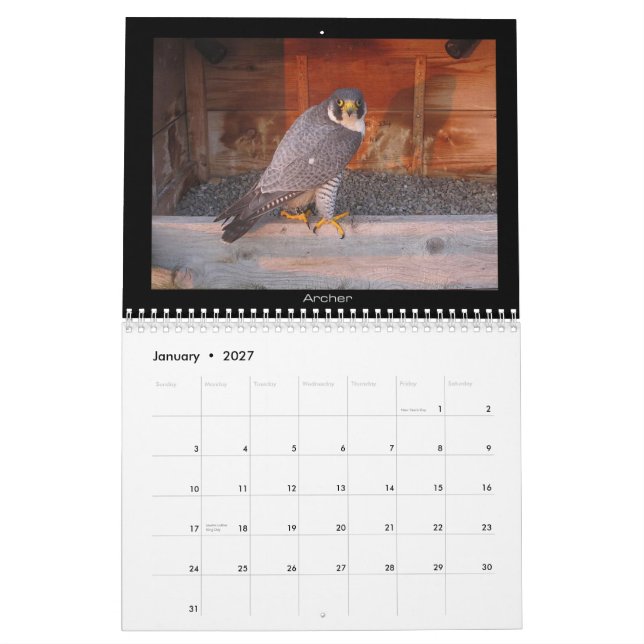 Mural 2013 calendrier - images principales de came (Jan 2027)