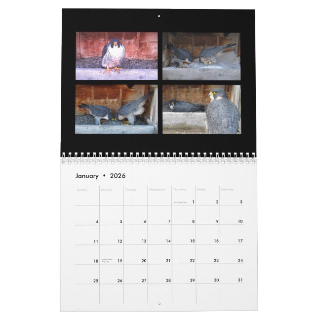 Mural 2015 calendrier - collages principaux de came (Jan 2026)